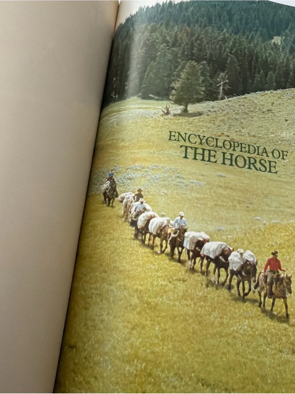 Encyclopedia of The Horse Hardcover Book Vintage